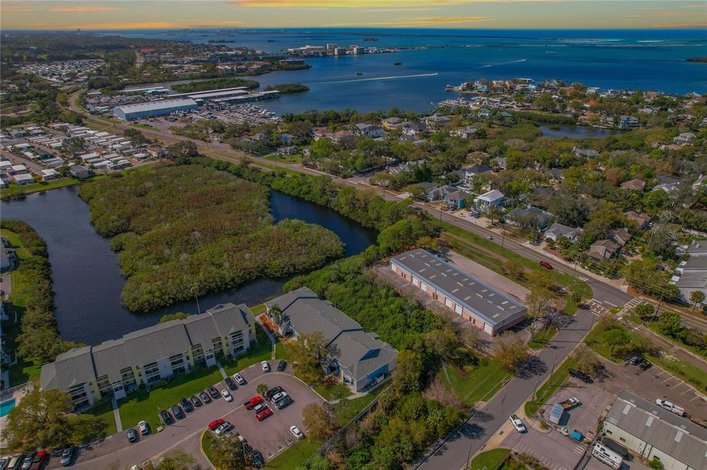455 Alt 19, Unit 151 Palm Harbor, FL 34683 - Photo 41 of 52 an aerial view of multiple house