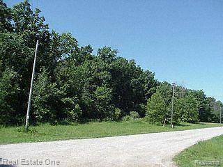 Par A Kearney Road Whitmore Lake, MI 48189 - Photo 1 of 1 Vac Land