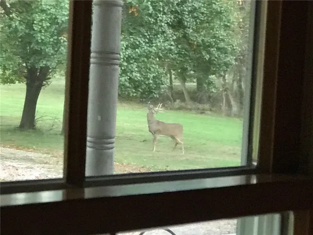 $815,000 | 13782 Northeast State Oo Route, Unit RURAL, Urich, MO 64788