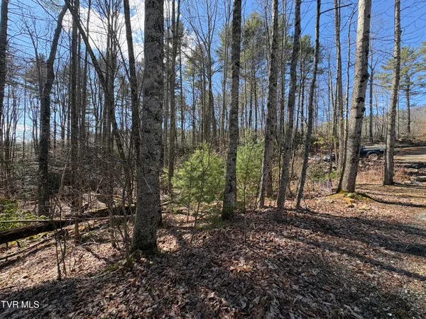$38,500 | Lot 30 Gene Drive, Unit 30, Butler, TN 37640