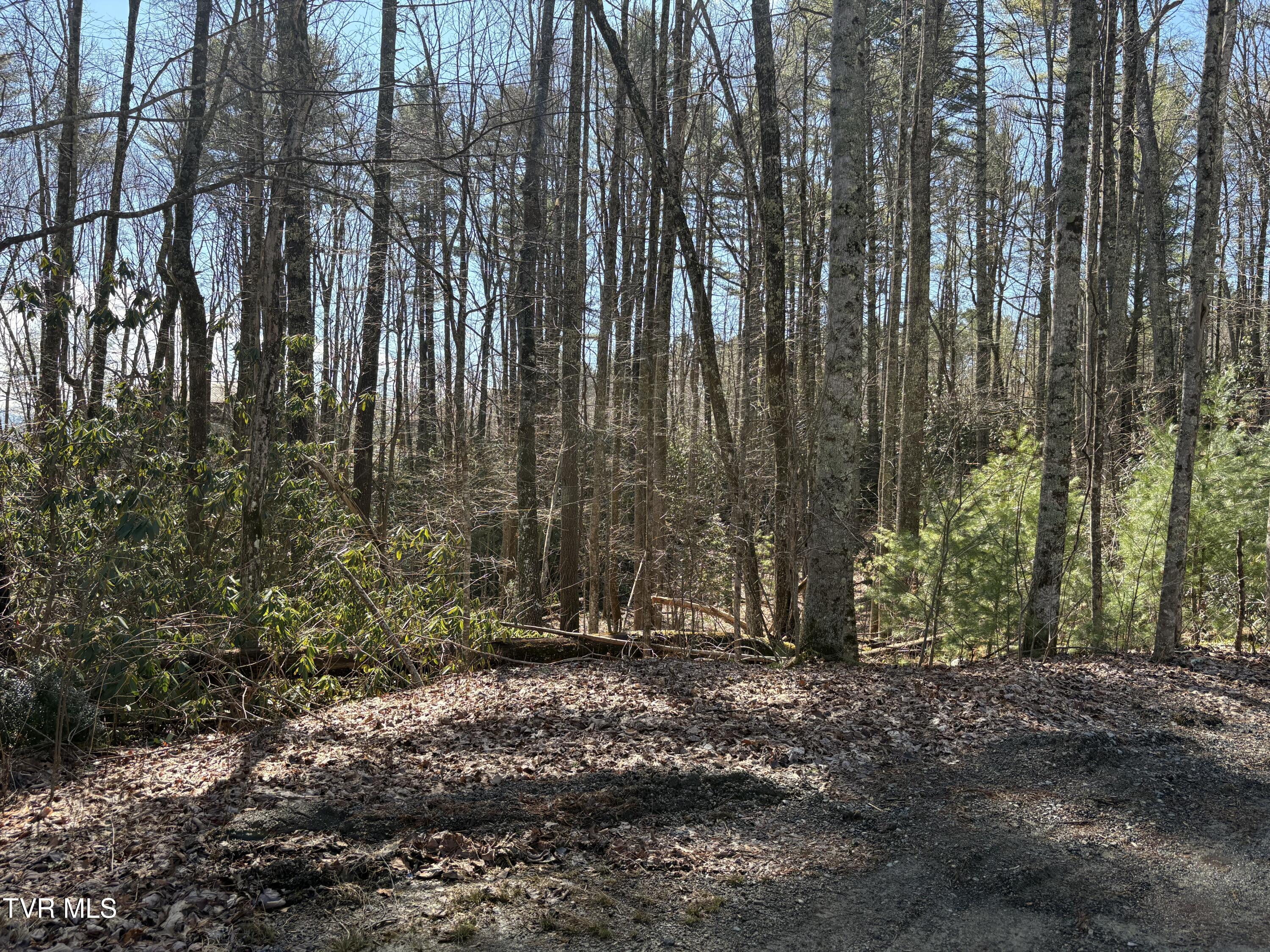 Lot 30 Gene Drive, Unit 30 Butler, TN 37640 - Photo 12 of 12 IMG_0330