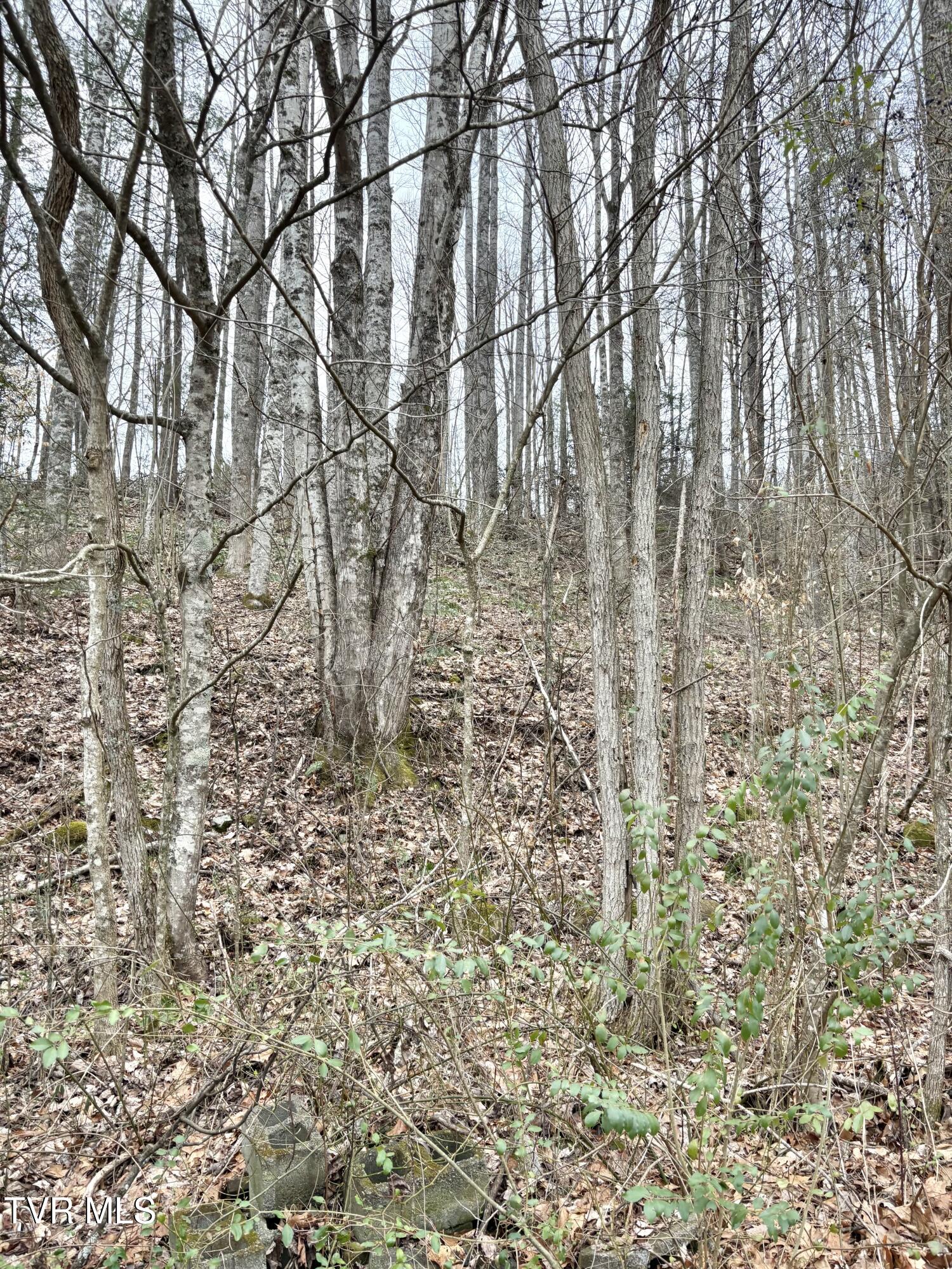 Lot 30 Gene Drive, Unit 30 Butler, TN 37640 - Photo 2 of 12 IMG_0217