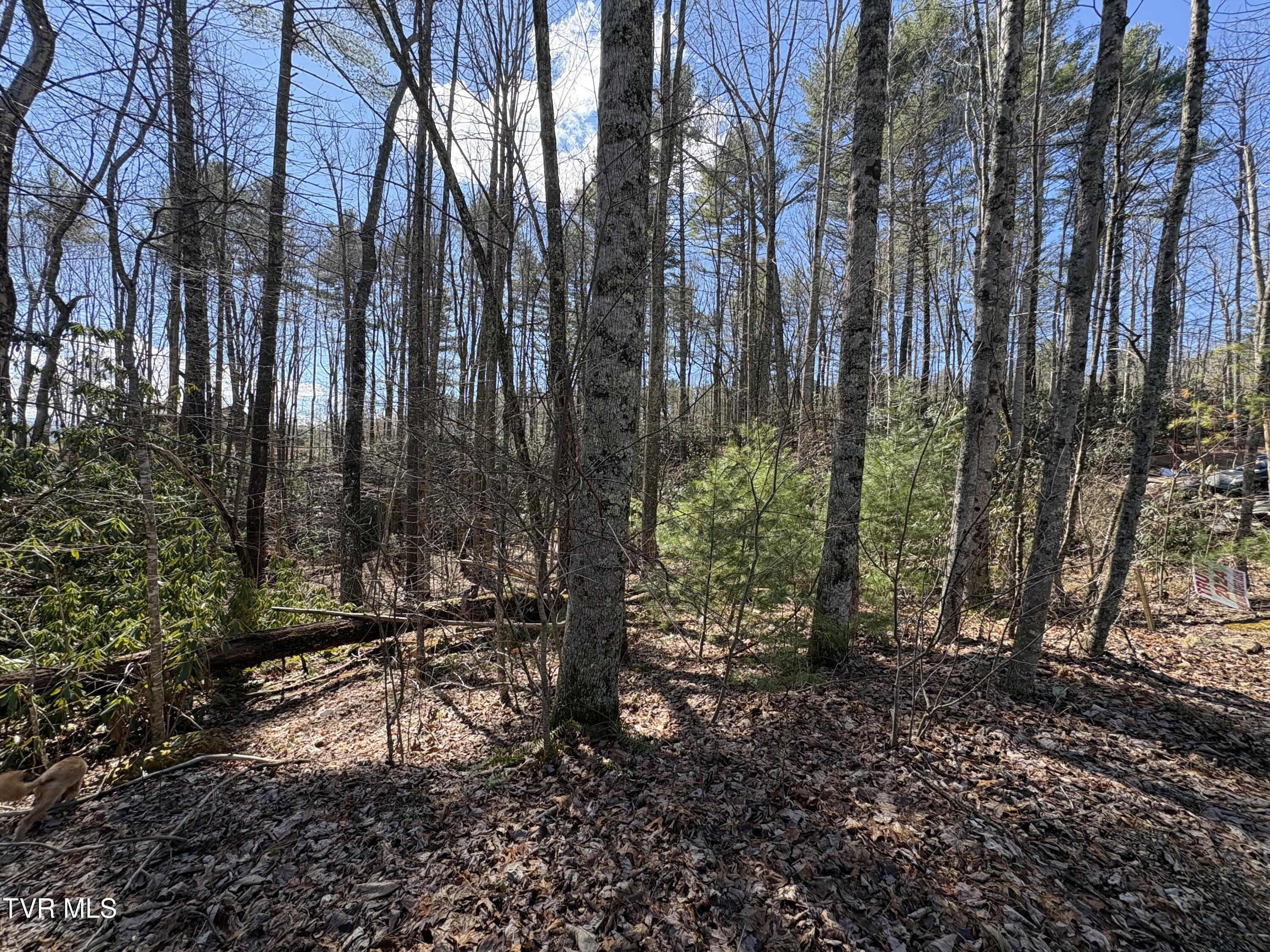 Lot 30 Gene Drive, Unit 30 Butler, TN 37640 - Photo 10 of 12 IMG_0334