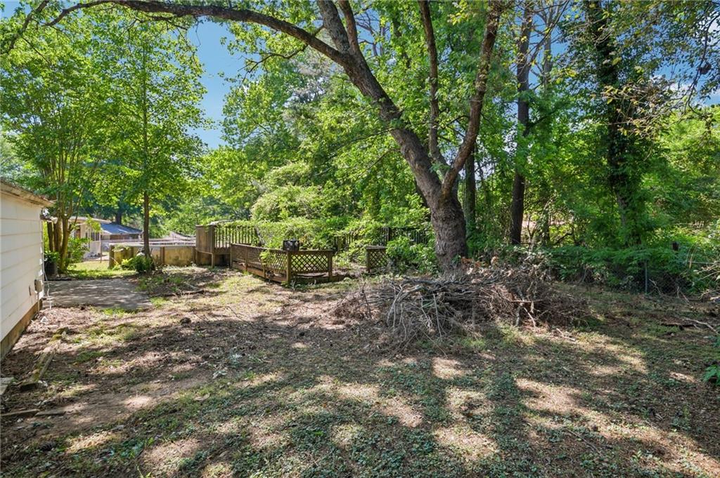 1684 Pheasant Drive Hampton, GA 30228 - Photo 13 of 14