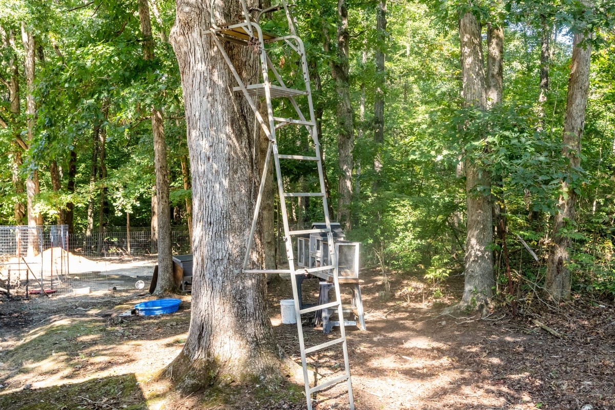 3770 Flatwoods Road Camden, TN 38320 - Photo 19 of 52 Gallery Image 19