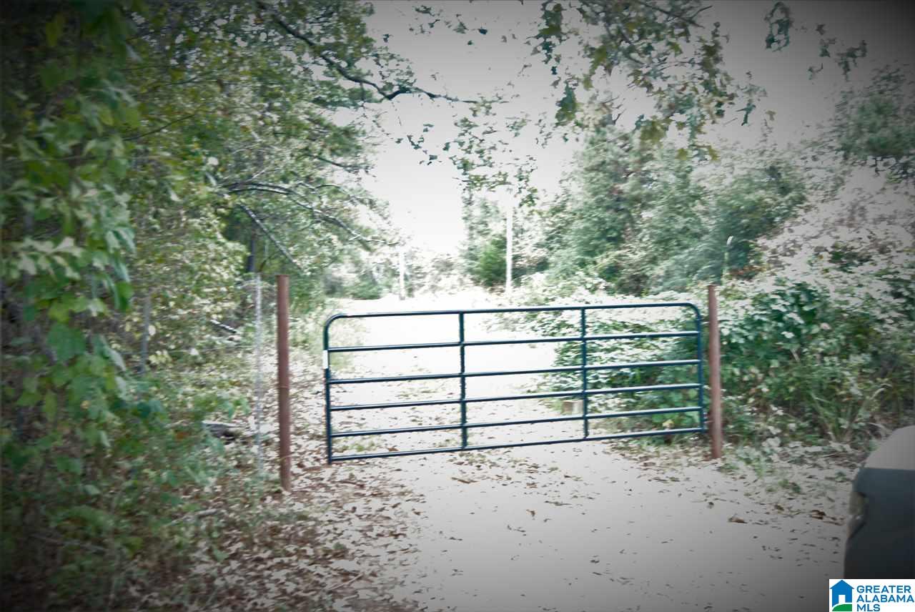 Ranch Marina Road, Unit 1 Pell City, AL 35128 - Photo 2 of 10