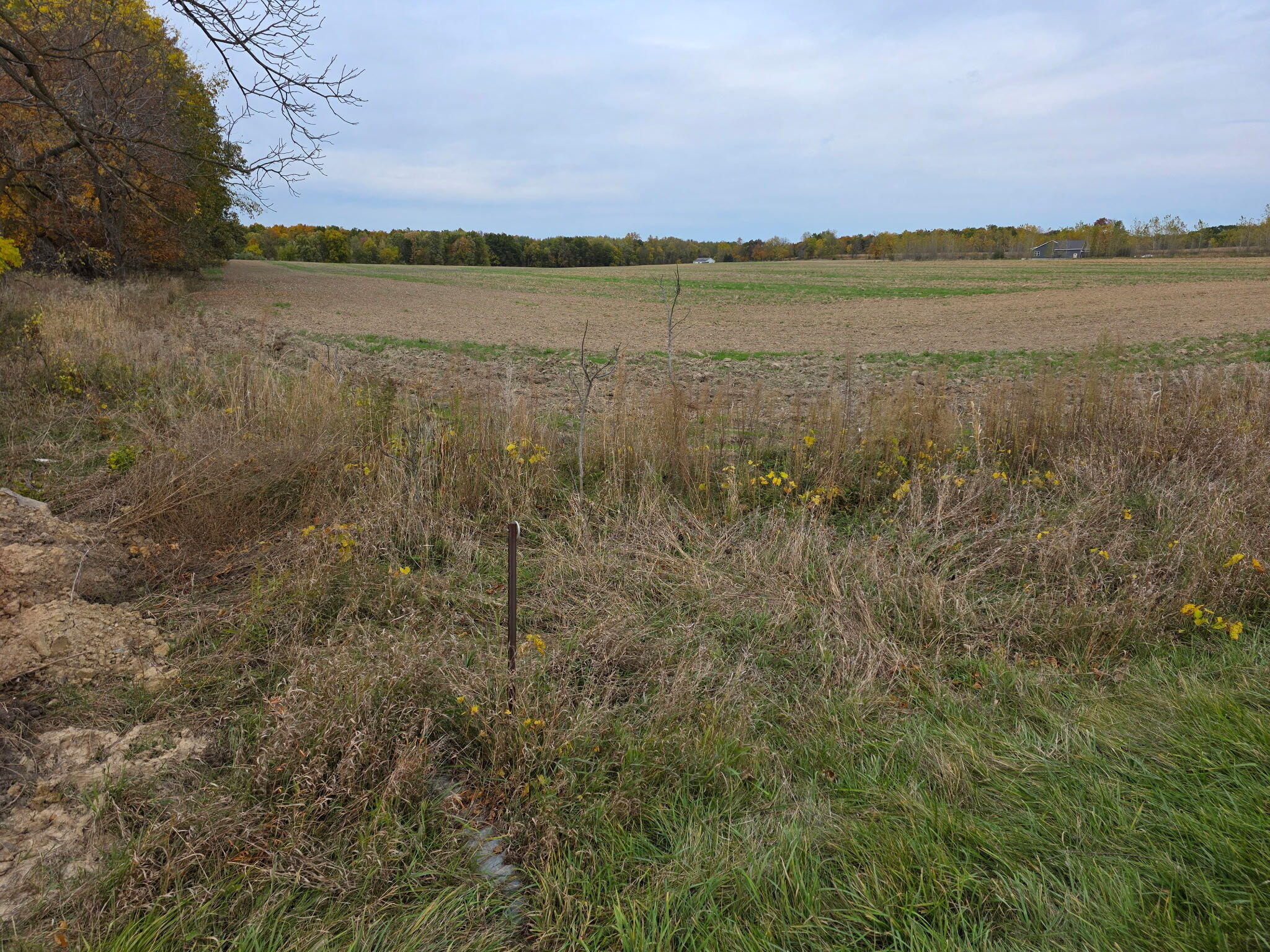 1 Alward Road St. Johns, MI 48879 - Photo 3 of 3 2833018406291768235