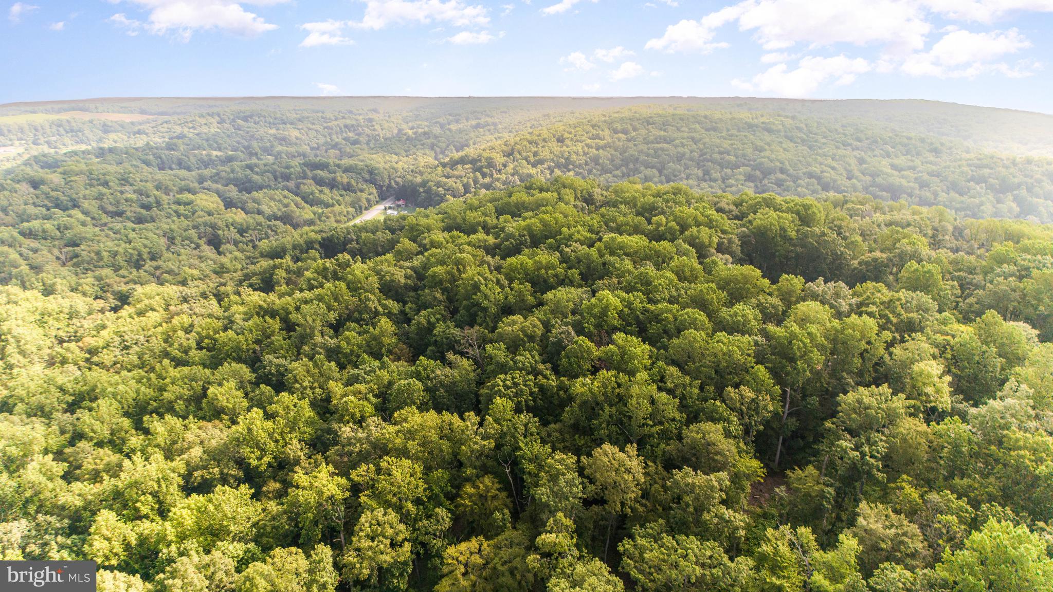 2949 Conowingo Road Bel Air, MD 21015 - Photo 11 of 11 an aerial view of residential houses with outdoor space and trees