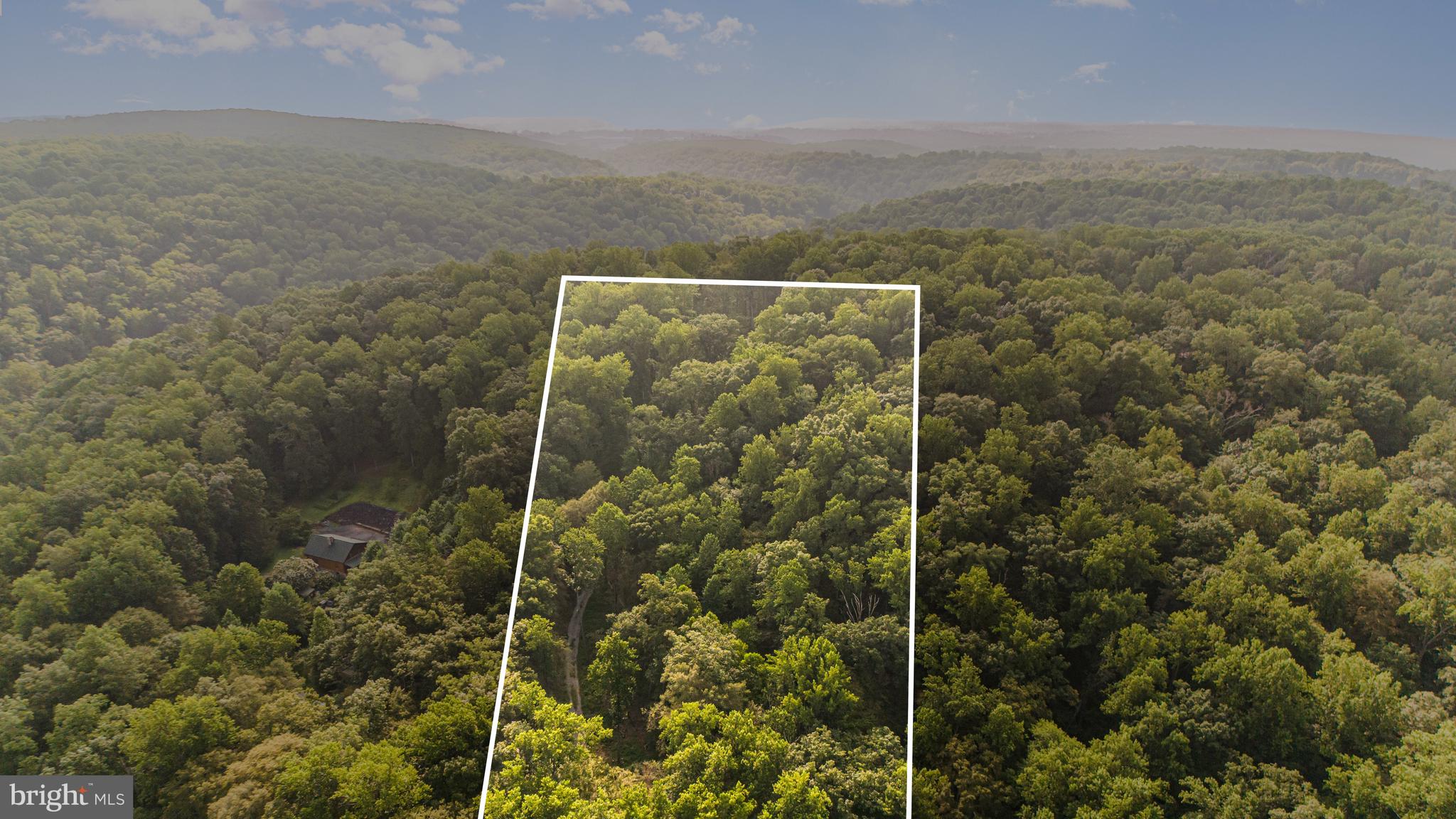 2949 Conowingo Road Bel Air, MD 21015 - Photo 6 of 11 a view of bathroom with shower