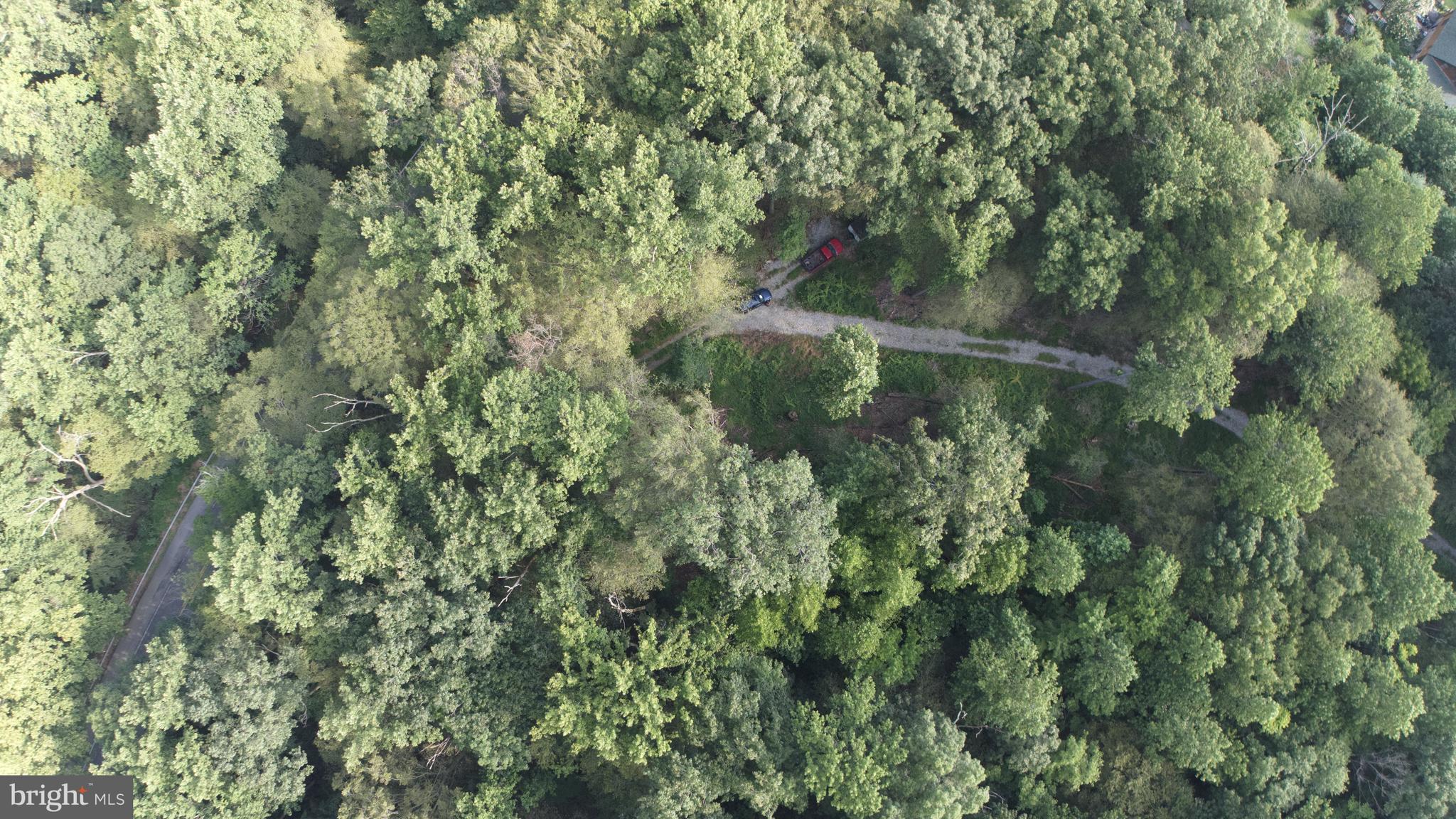 2949 Conowingo Road Bel Air, MD 21015 - Photo 7 of 11 a view of a forest