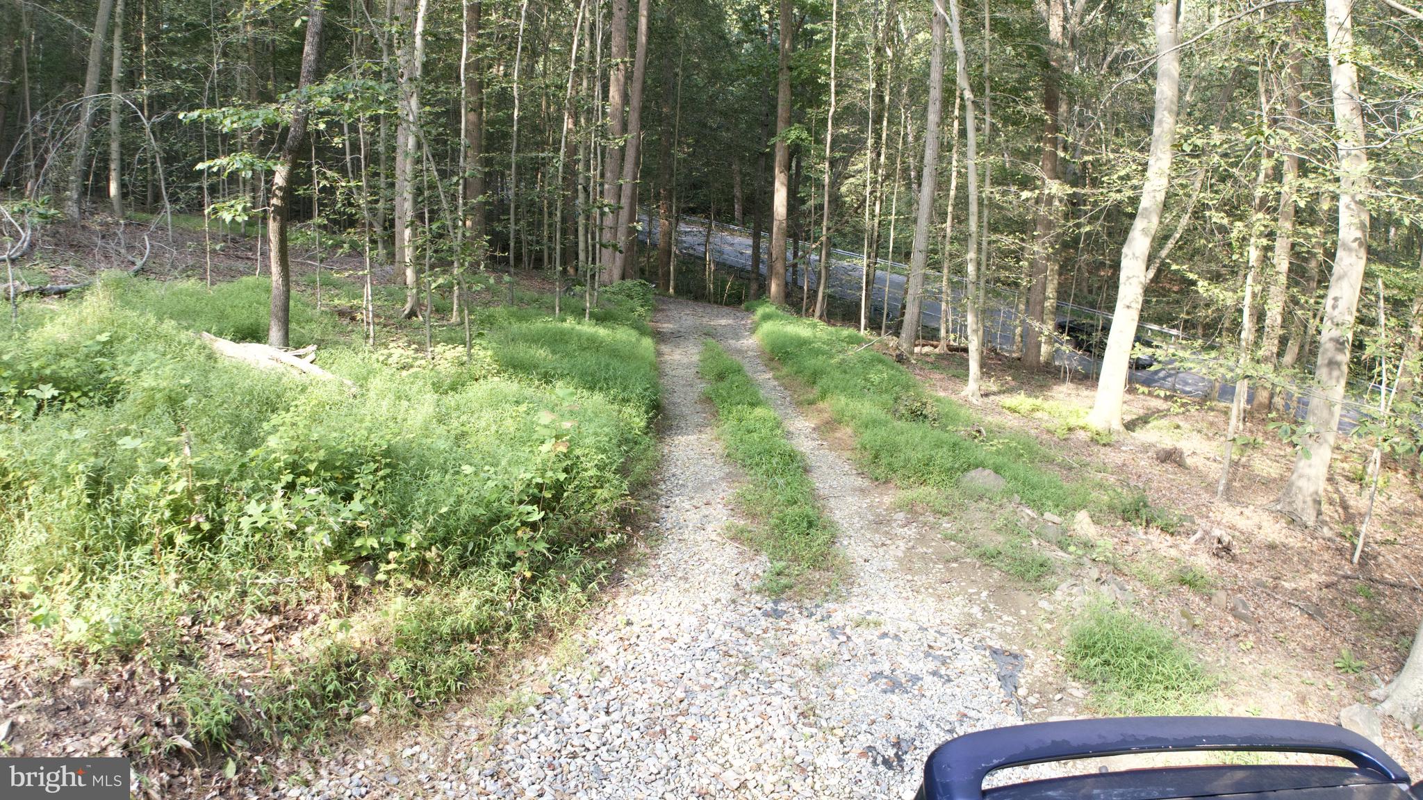 2949 Conowingo Road Bel Air, MD 21015 - Photo 8 of 11 a view of garden