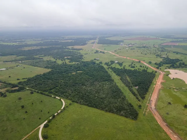 a view of a field with an ocean