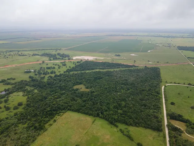 a view of an ocean and beach