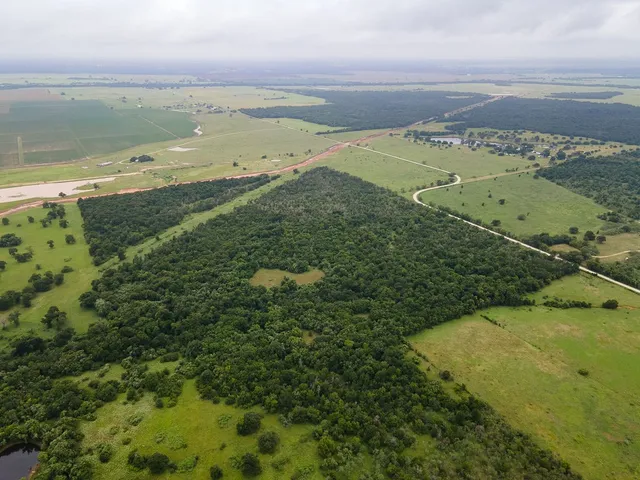 a view of an ocean and beach