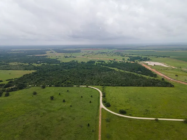 a view of a field with an ocean