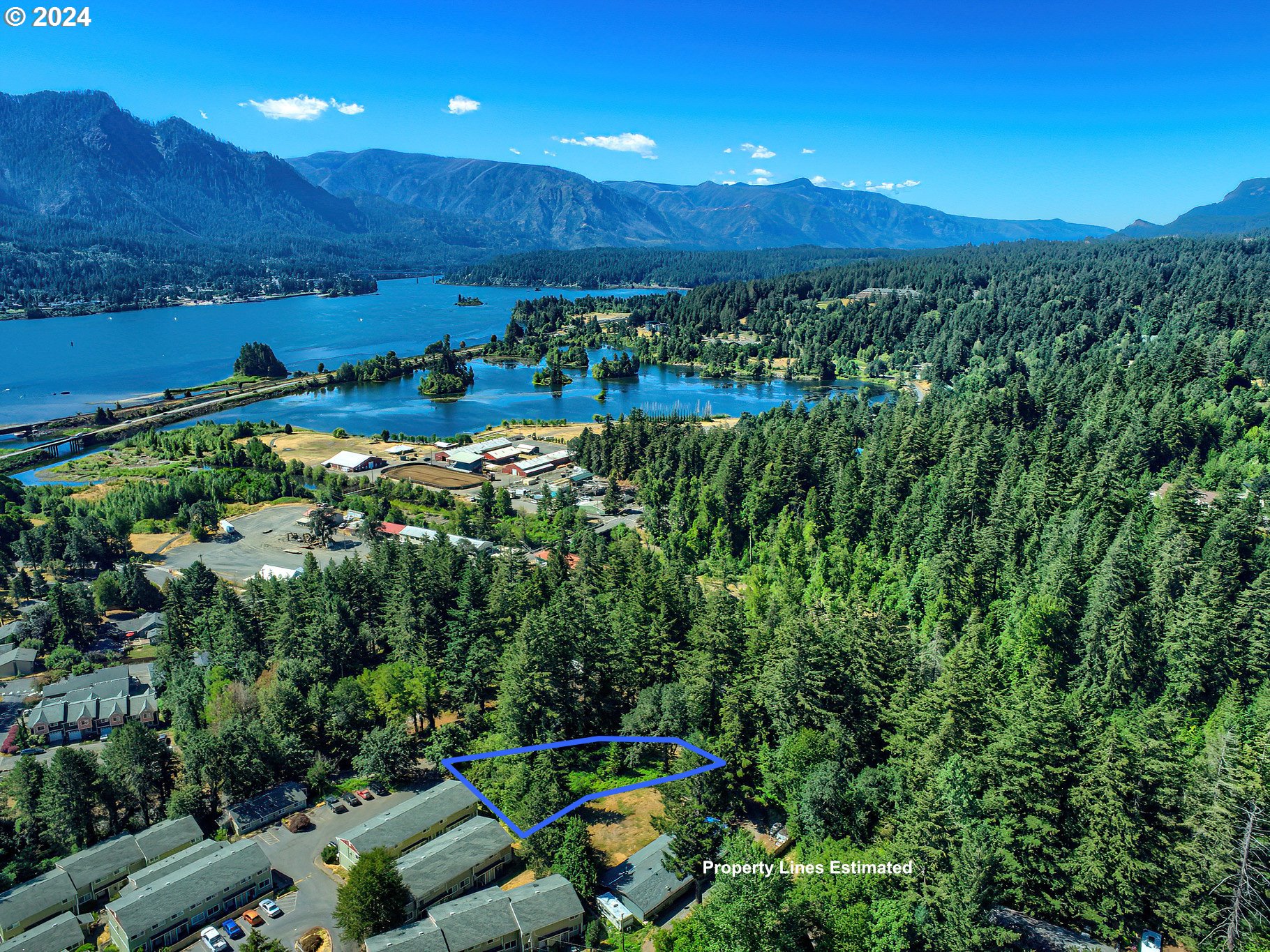 80 Northwest Lasher Road Stevenson, WA 98648 - Photo 2 of 15 a view of a bunch of trees and a yard