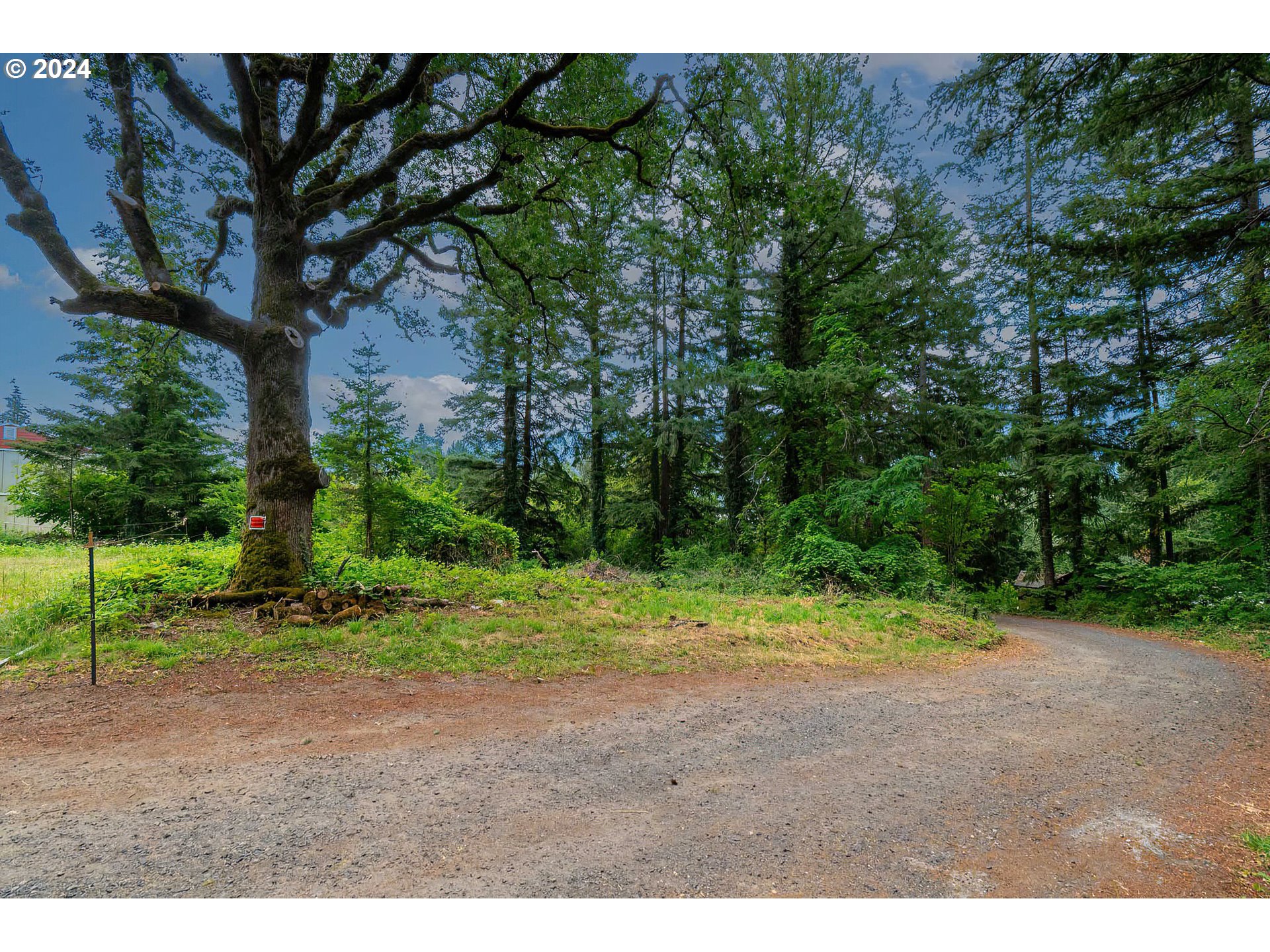 80 Northwest Lasher Road Stevenson, WA 98648 - Photo 3 of 15 a view of outdoor space with trees