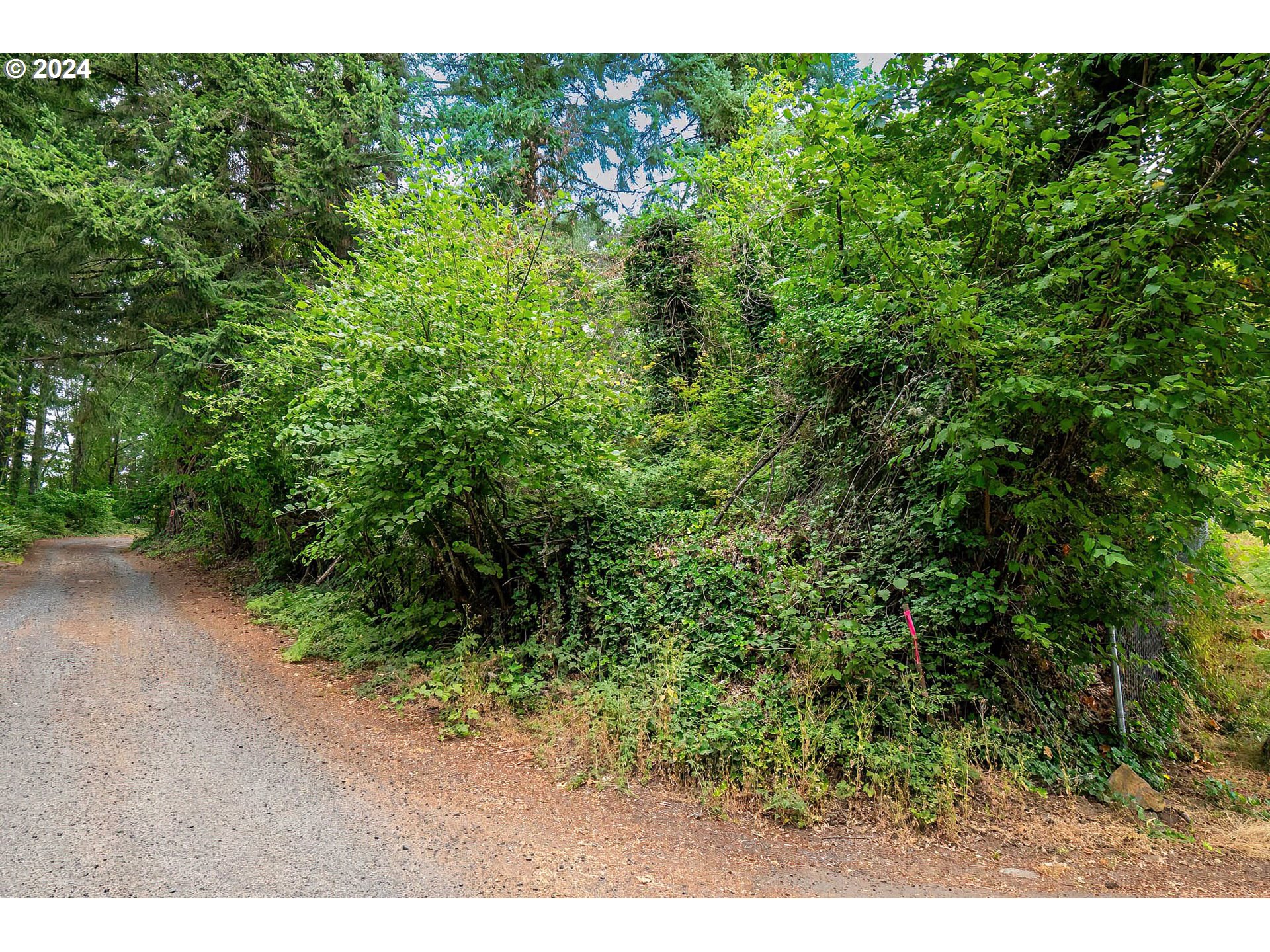 80 Northwest Lasher Road Stevenson, WA 98648 - Photo 9 of 15