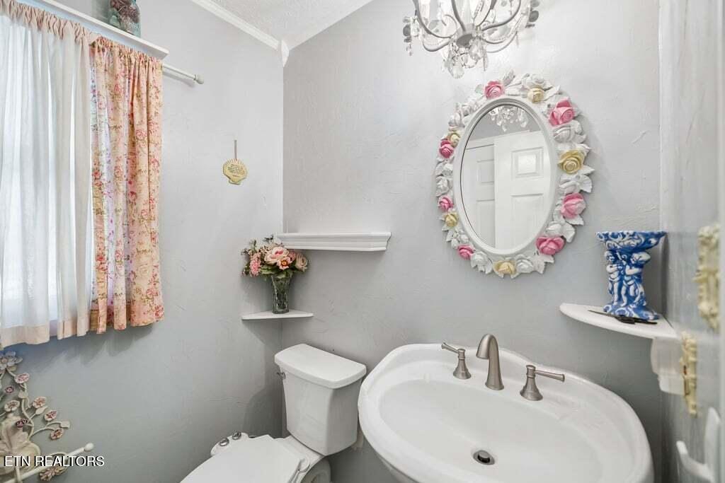 133 Rolling Hills Rutledge, TN 37861 - Photo 15 of 40 Powder Room on Main Level