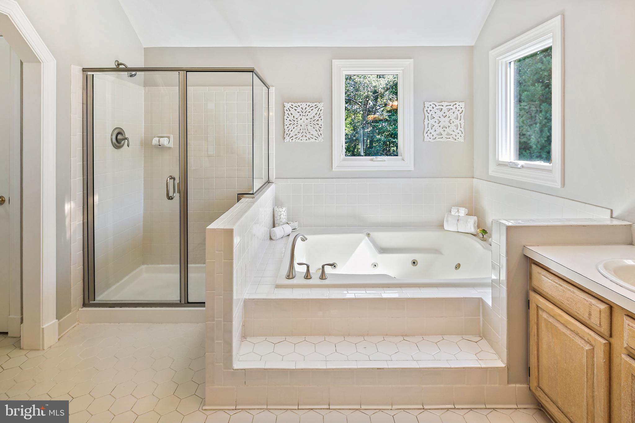 535 Post Oak Road Annapolis, MD 21401 - Photo 36 of 76 Primary Bath with Jetted Tub and Separate Shower