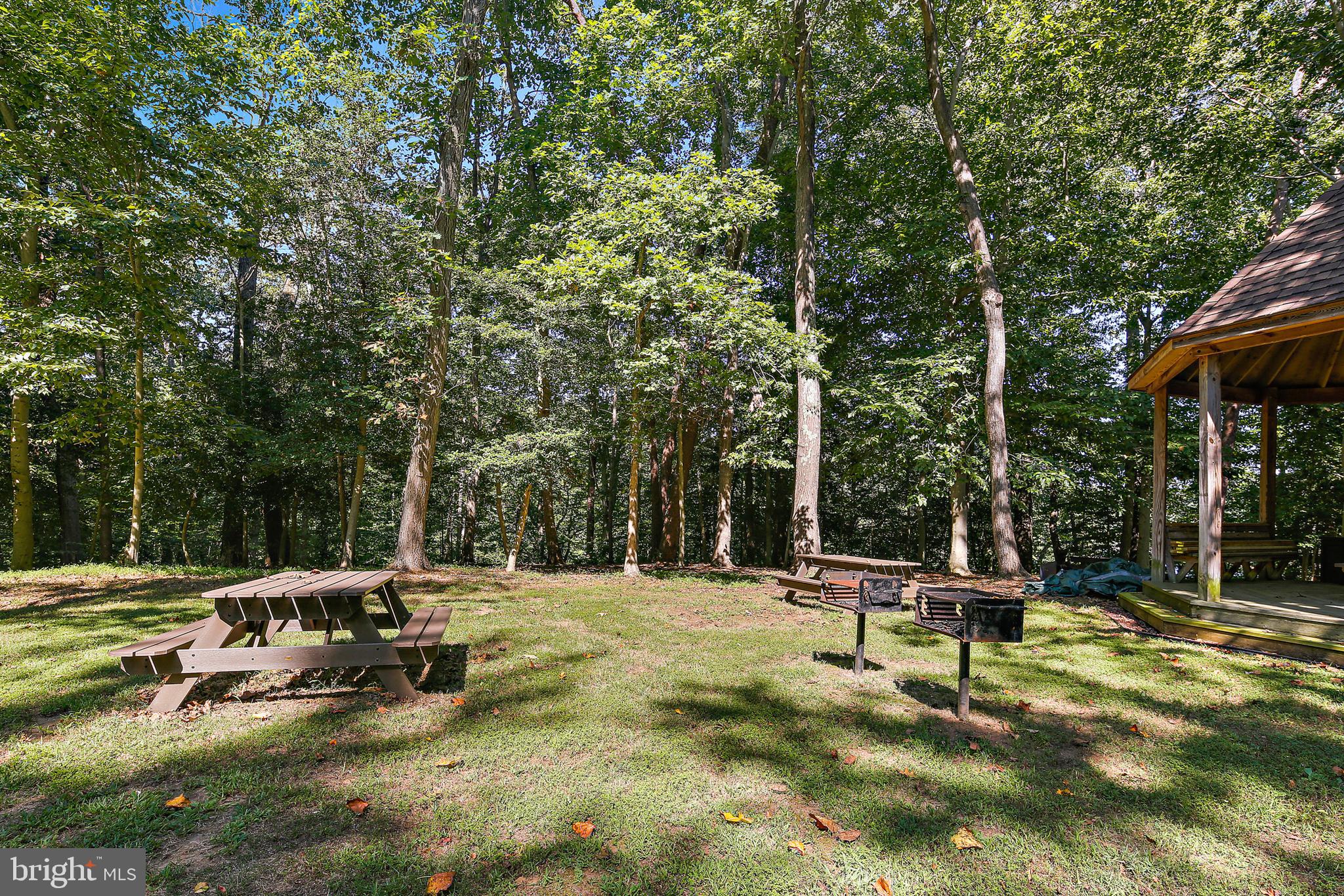 535 Post Oak Road Annapolis, MD 21401 - Photo 72 of 76 Community Picnic Tables with Rustic Grills