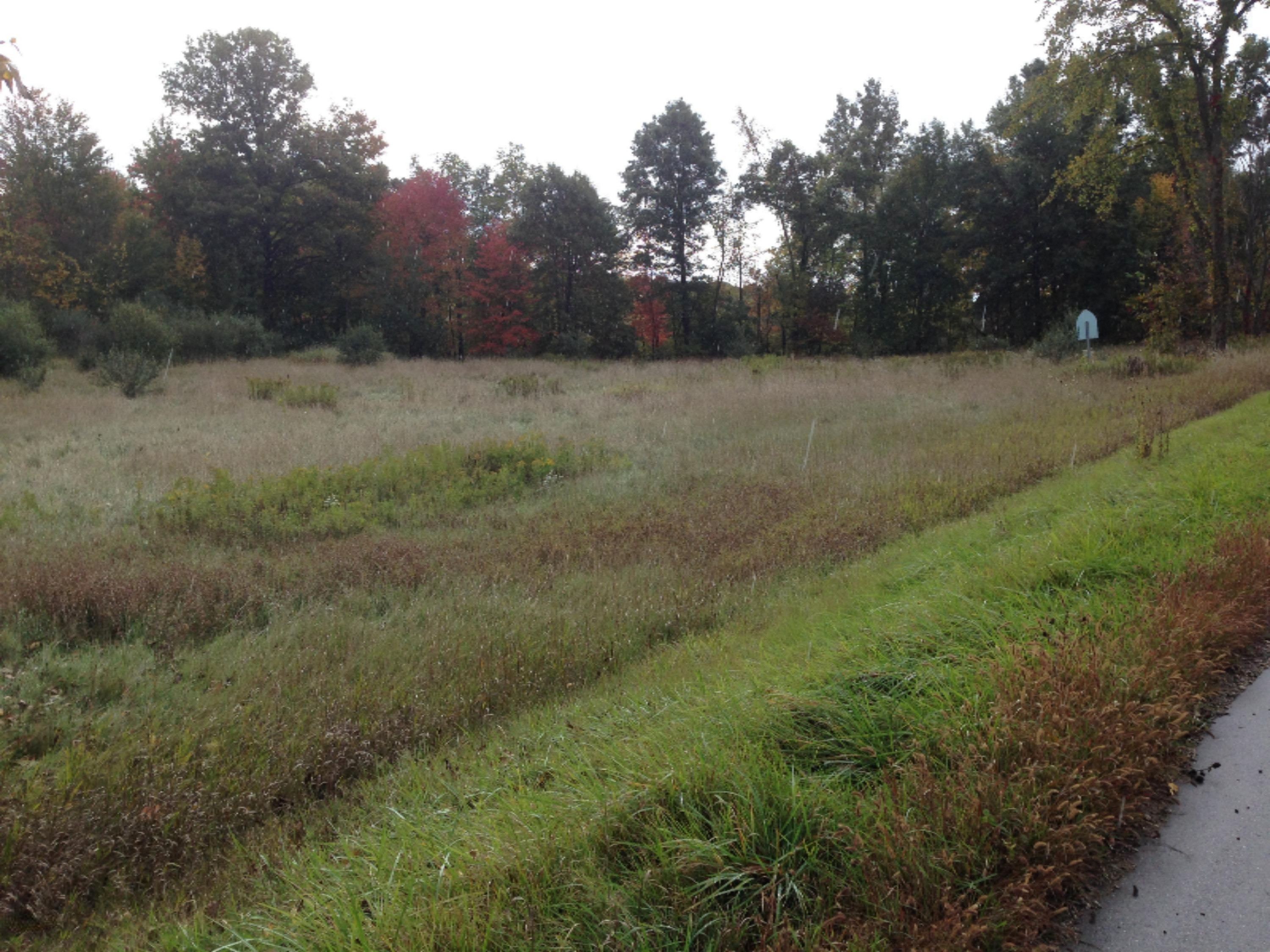 South Sheridan Road Fenwick, MI 48834 - Photo 1 of 5 033