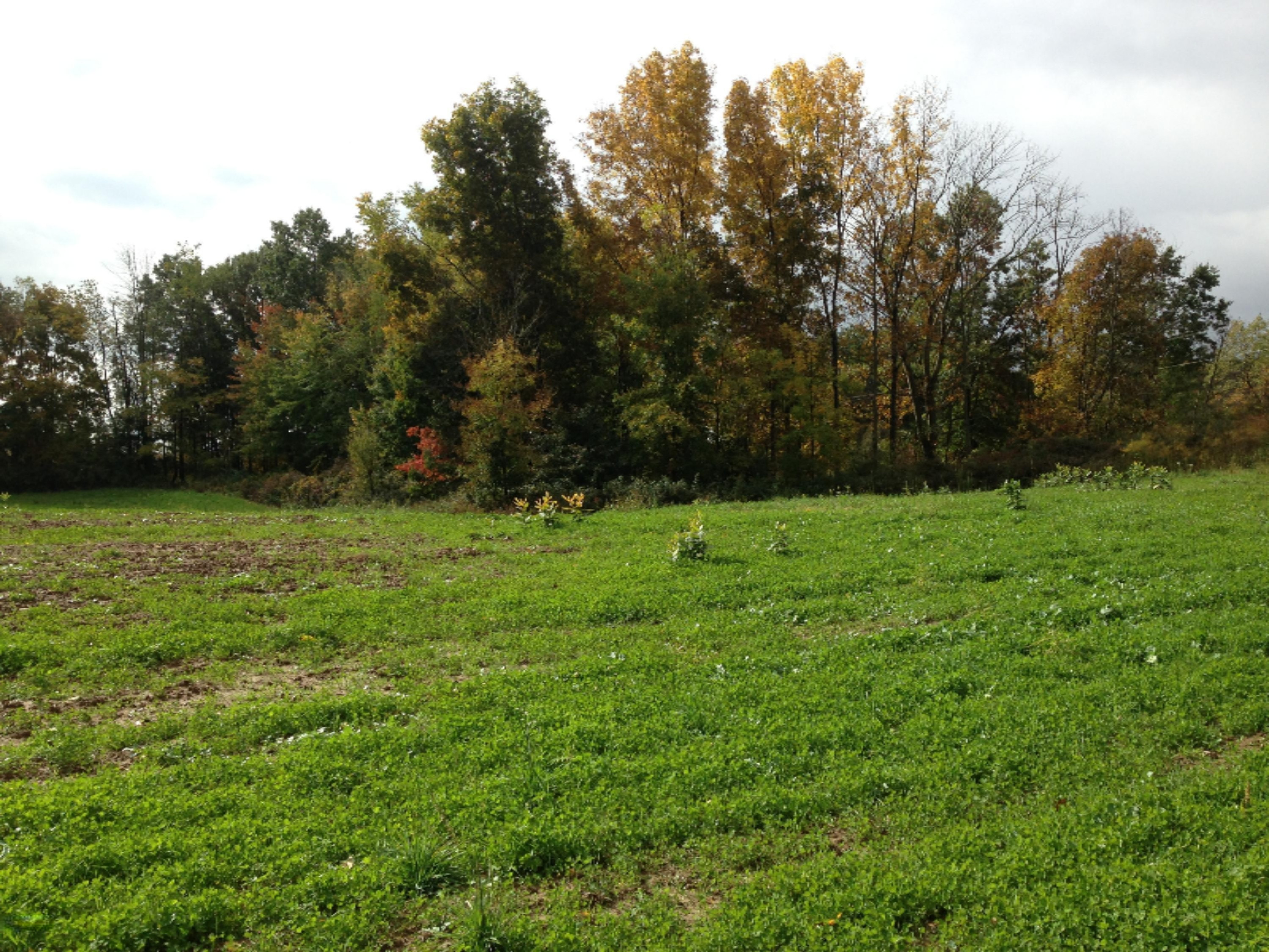 South Sheridan Road Fenwick, MI 48834 - Photo 3 of 5 029