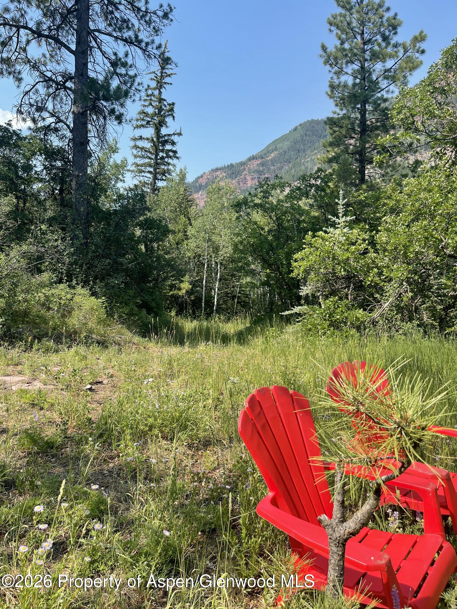 315 Firehouse Road Redstone, CO 81623 - Photo 4 of 12 IMG_1612