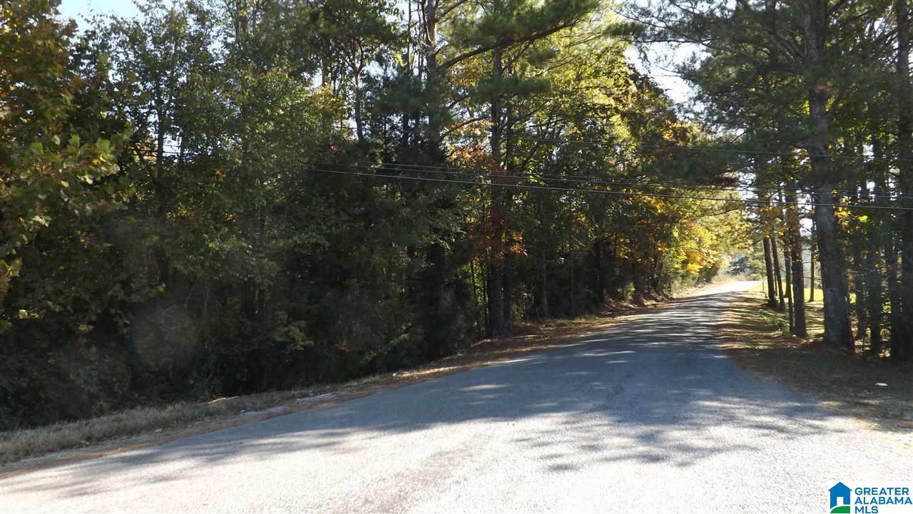 0 Highway 75, Unit 29 38 Oneonta, AL 35121 - Photo 9 of 30