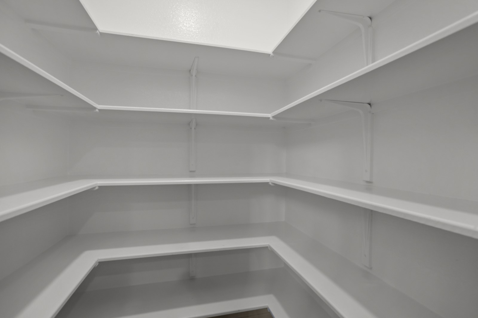 245 Razzmatazz Trail Buda, TX 78610 - Photo 13 of 37 Walk-in pantry with extensive white shelving, multiple tiers of storage, and white wall brackets