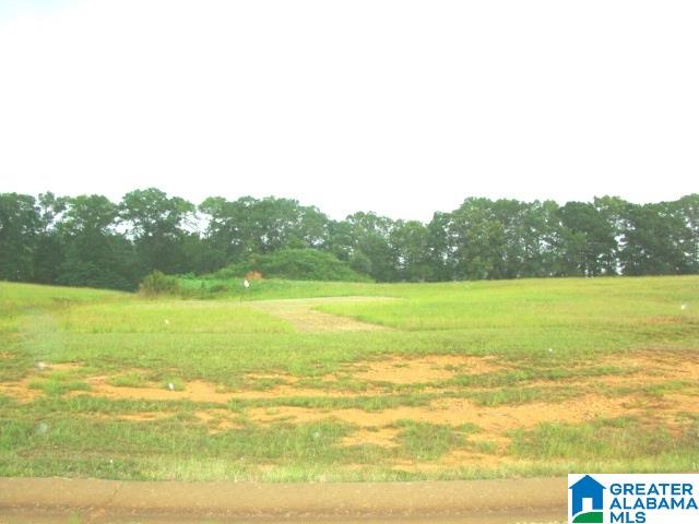 0 Bella Ridge, Unit 111 Lincoln, AL 35096 - Photo 7 of 12