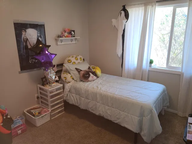 a bedroom with a bed and a window