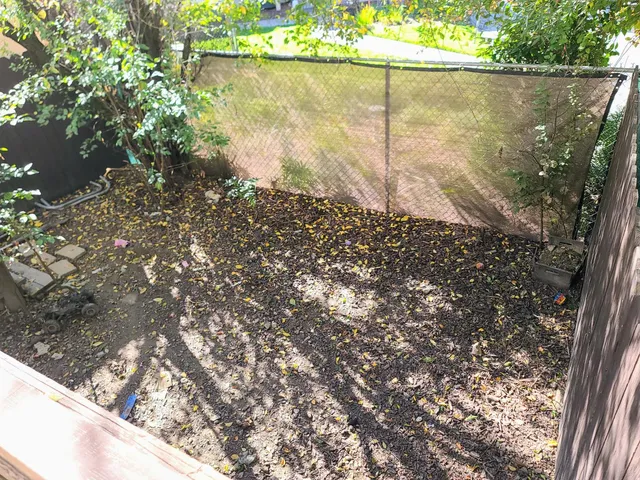 a view of a tree outside a yard