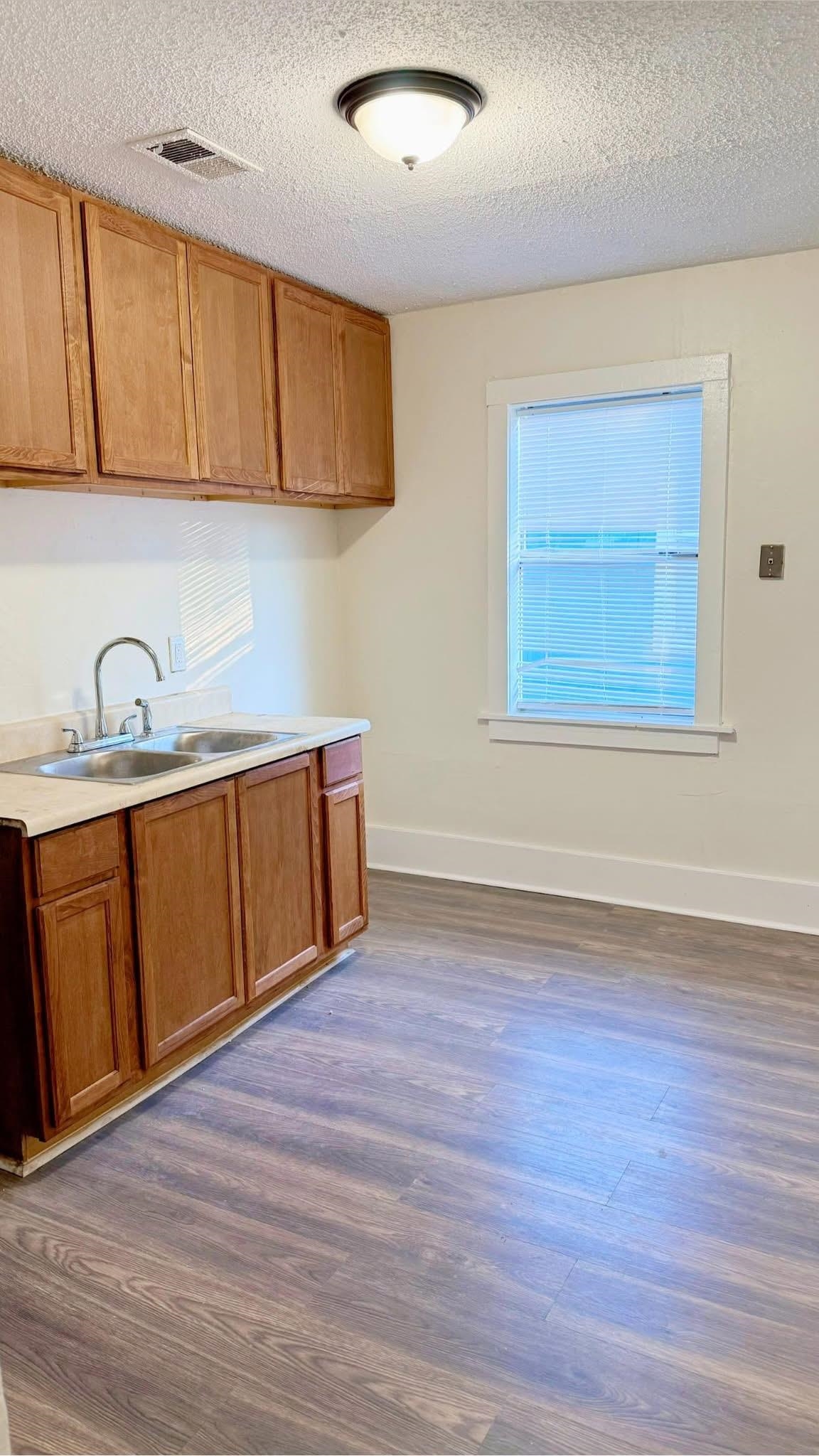 1393 Michigan Street Memphis, TN 38106 - Photo 3 of 9 Kitchen featuring a textured ceiling, sink, and dark wood-type flooring