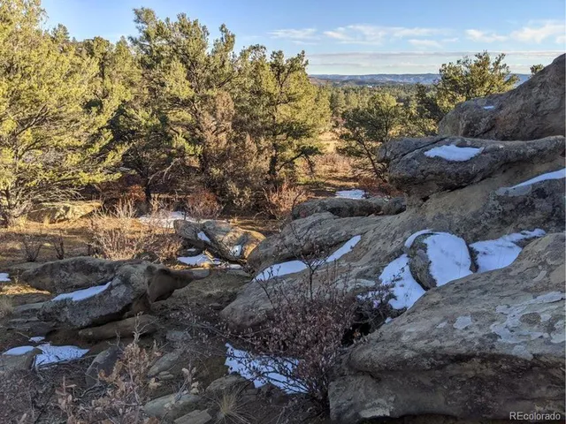 a view of a lake in middle of forest