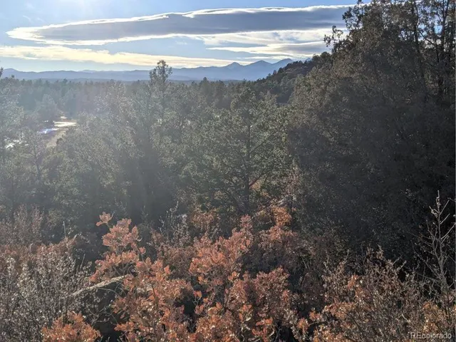 a view of a city with tall trees