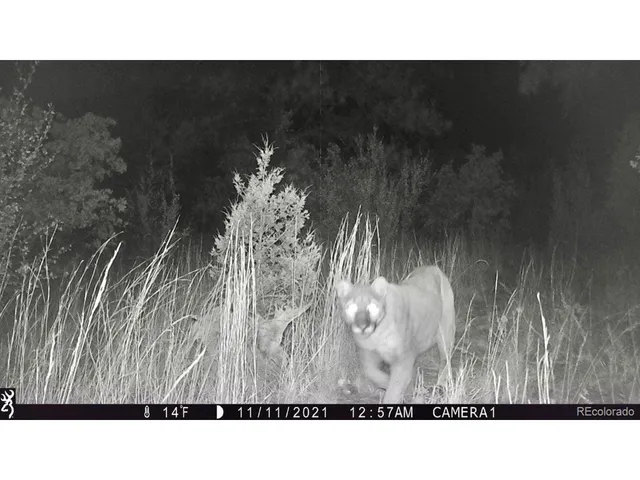 a black and white photo of a room