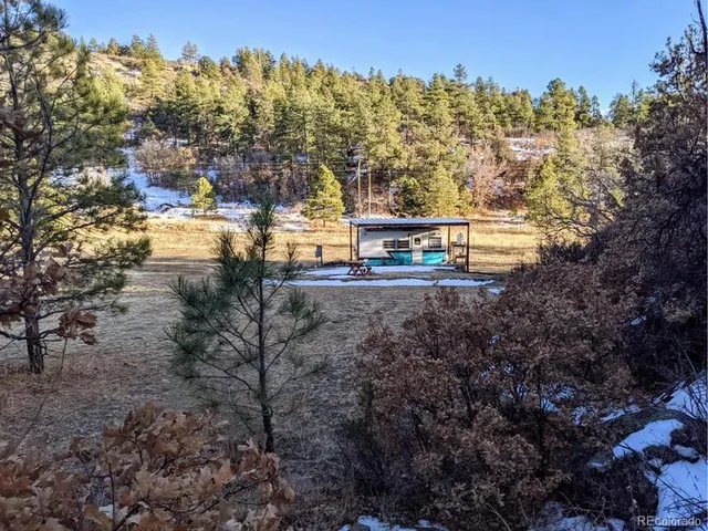 a view of a yard with large trees