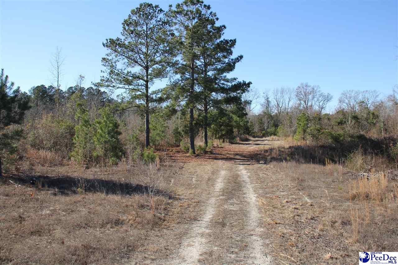0 Country Manor Road Lamar, SC 29069 - Photo 1 of 15 Gallery Image 1