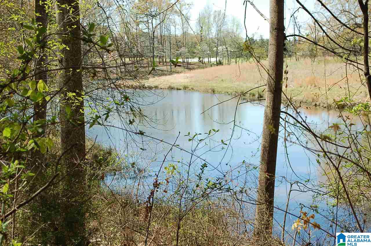 2986 Corner Road Warrior, AL 35180 - Photo 7 of 31 Gallery Image 7