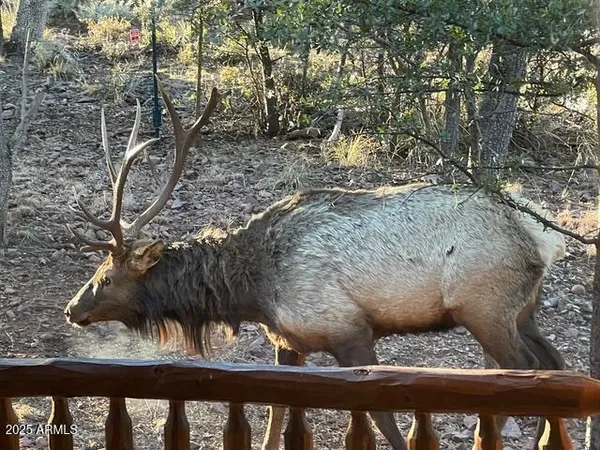 $1,099,000 | 6215 Sharyn Road, Pine, AZ 85544