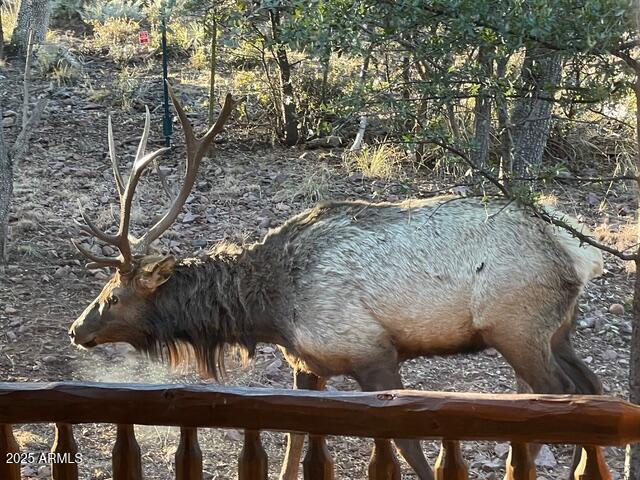 6215 Sharyn Road Pine, AZ 85544 - Photo 3 of 79 IMG_6739