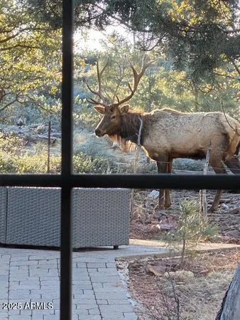 $1,099,000 | 6215 Sharyn Road, Pine, AZ 85544