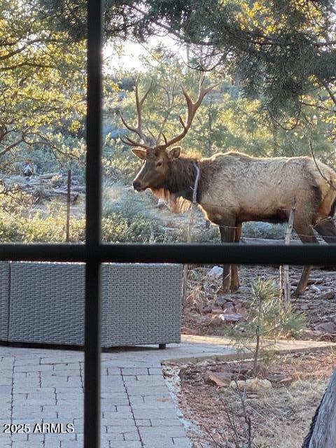 6215 Sharyn Road Pine, AZ 85544 - Photo 75 of 79 IMG_8779