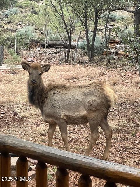 6215 Sharyn Road Pine, AZ 85544 - Photo 76 of 79 IMG_9028