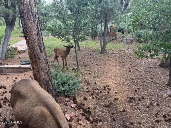 $1,099,000 | 6215 Sharyn Road, Pine, AZ 85544