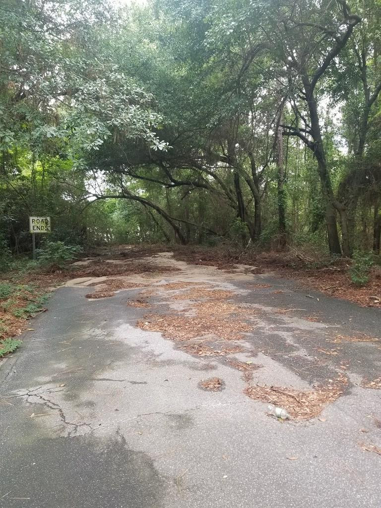 3514 Augusta Road Aiken, SC 29801 - Photo 2 of 2