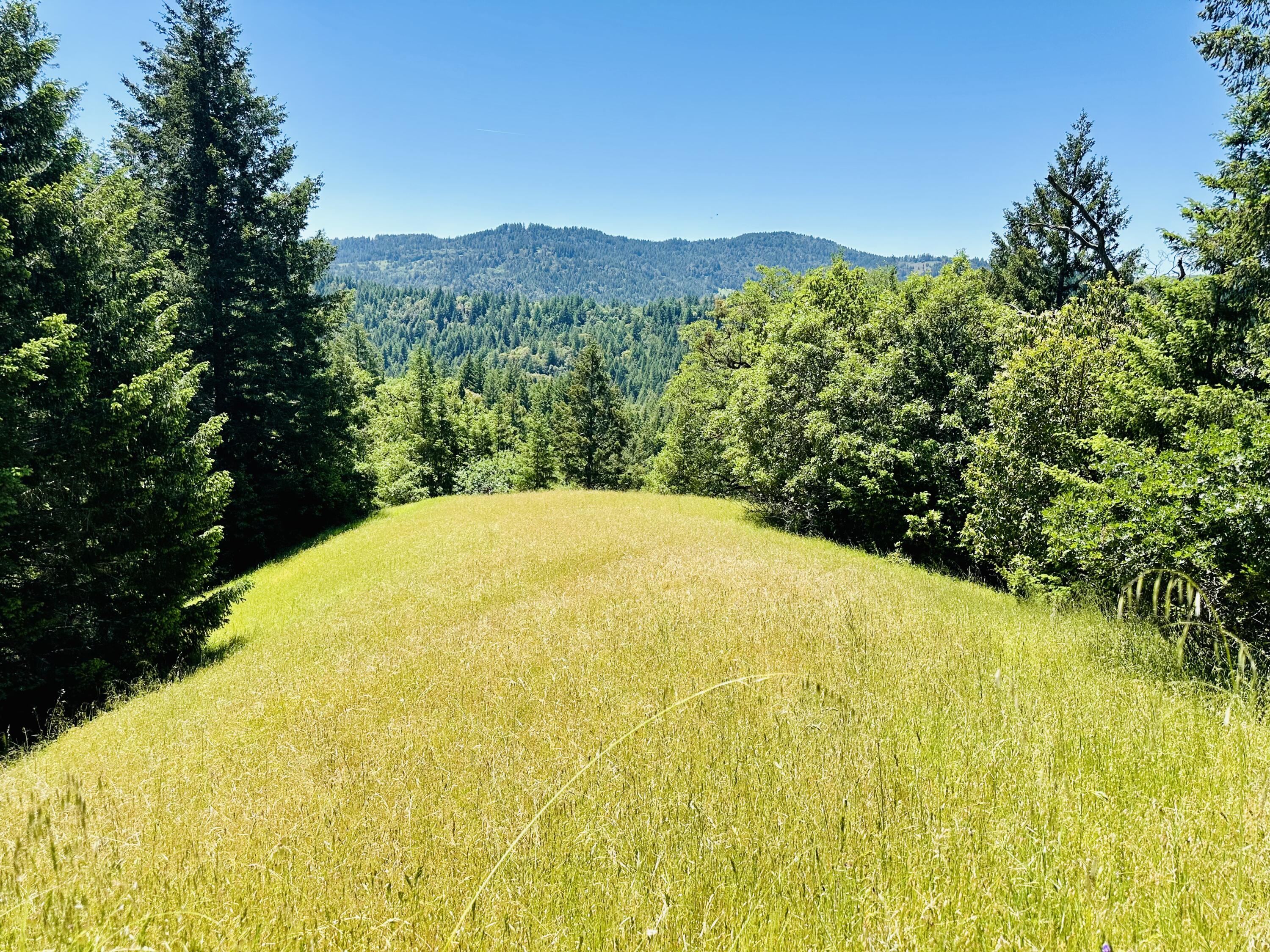 400 Seely Creek Road Redway, CA 95560 - Photo 69 of 73