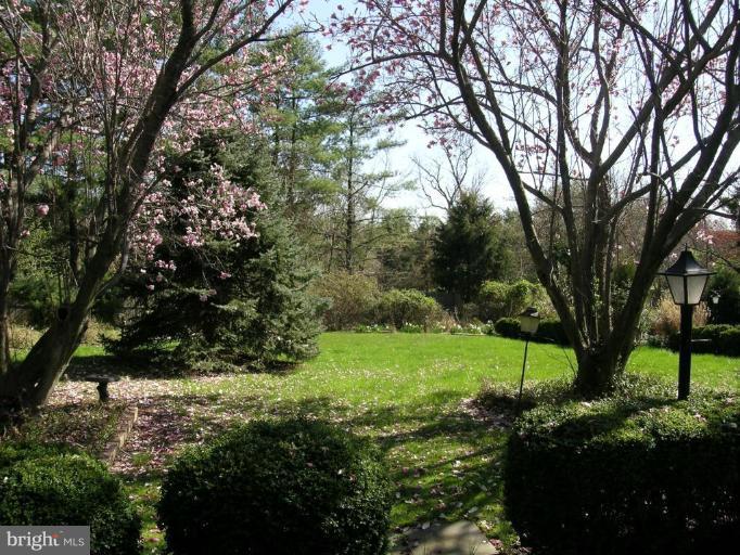 13900 Alderton Road Silver Spring, MD 20906 - Photo 2 of 11 View from the front entrance