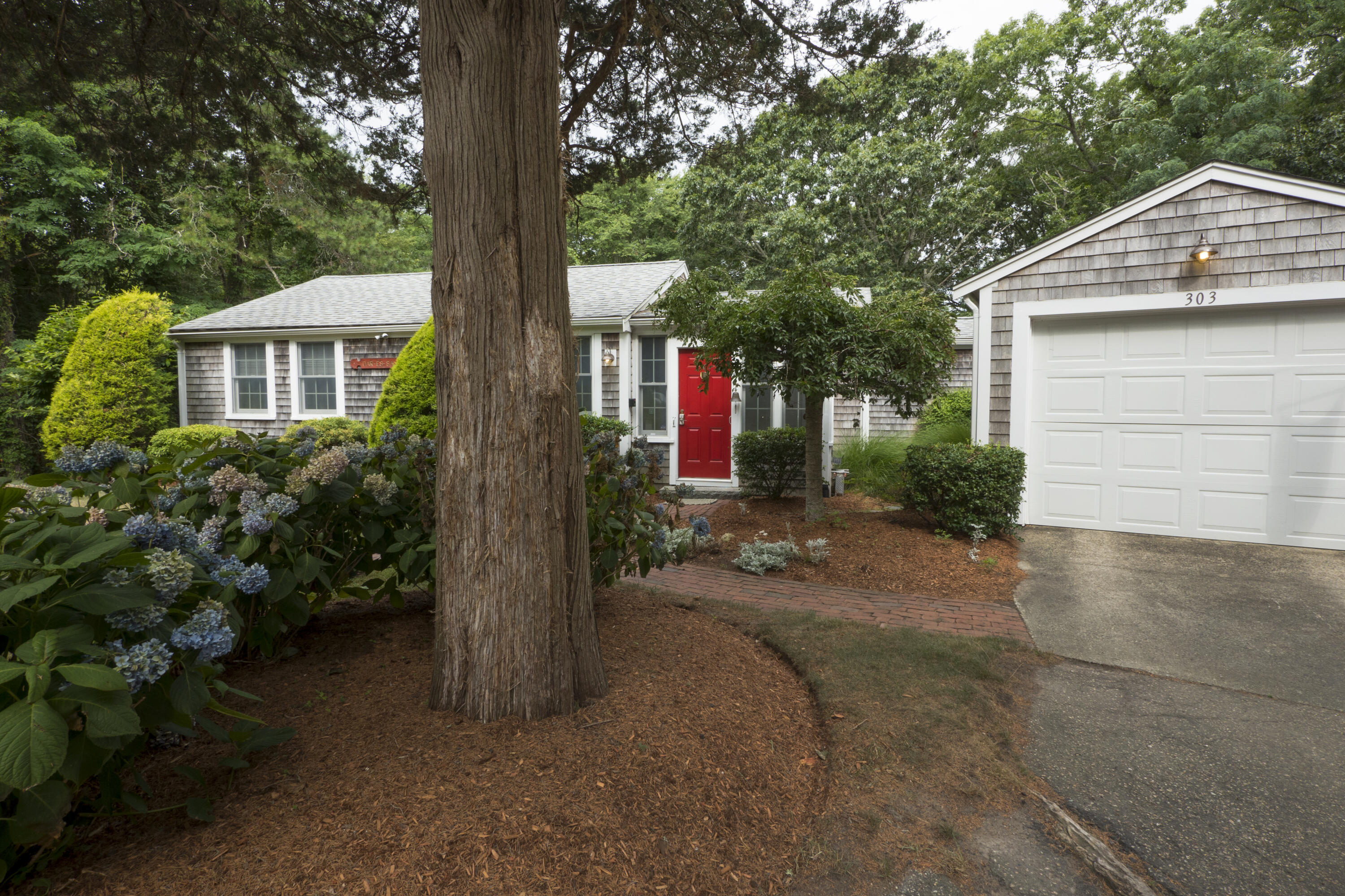 303 Maple Street West Barnstable, MA 02668 - Photo 3 of 19 a front view of house with yard space and trees around